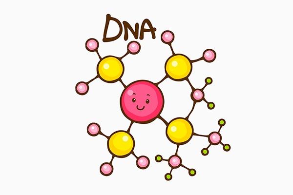 DNA彩色.jpg